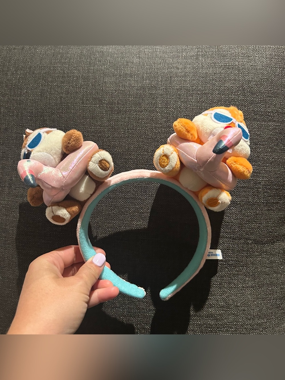 Tokyo Disney Resort 2025 Chip & Dale Ears Flamingo Headband Sunny Summer Japan